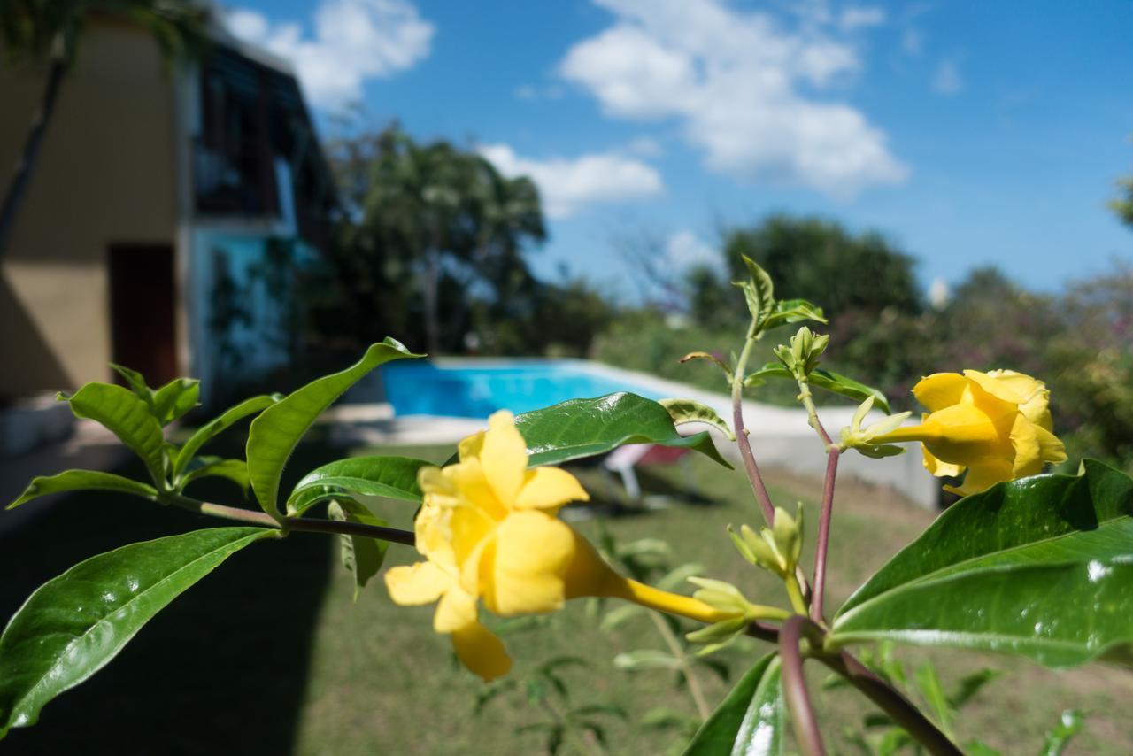 La Muscade Bed & Breakfast Ferry Luaran gambar
